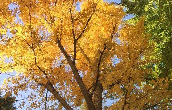 北京小企業(yè)注冊公司需要注意哪些問題？