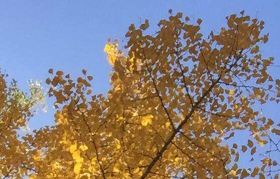 公司工商注冊流程詳解,公司工商注冊需要哪些材料