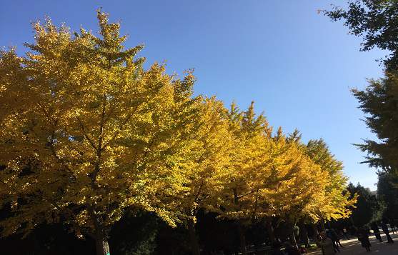 北京公司注冊需要找哪些專業(yè)機構幫助？