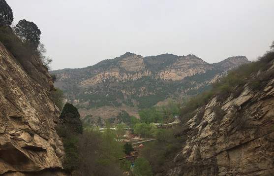 北京木業(yè)公司注冊的條件與要求有哪些？