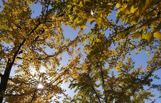 北京市經(jīng)紀(jì)公司注冊(cè)資金的最佳范圍是多少？