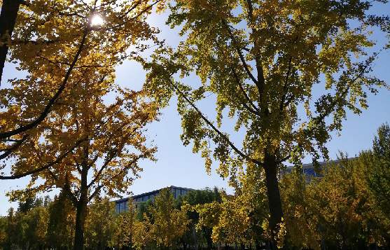 北京廣告公司如何注冊商標(biāo)，哪家靠譜？